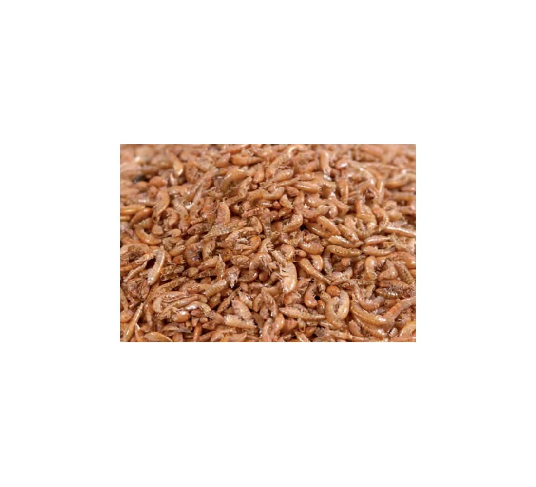 Koi - Cangrejo de río (10 L, 1 kg)