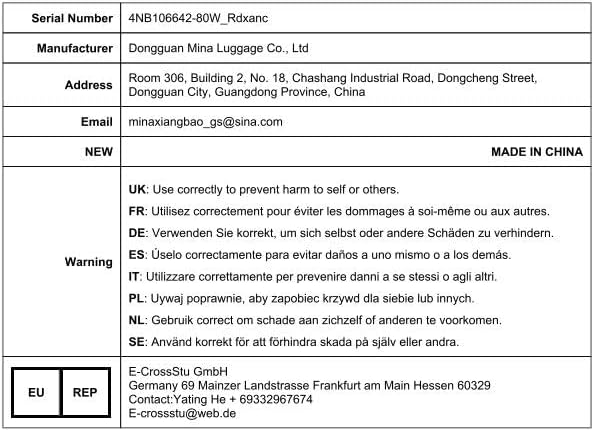 Rdxanc バーベキューファン バーベキューブロワー 40/60/80W ダクト鉄ギア付きエアブロワー キャンプ用ポータブル電気ブ