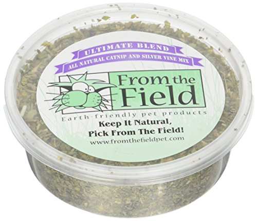 from The Field | Ultimate Blend Catnip & Silver Vine | Premium USA-Grown Catnip for Toys & Playtime | Fresh, Potent, Non-Toxic, Eco-Friendly | Safe for Kittens & Cats | Resealable 1 Oz Tub