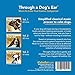 iCalmPet | Through a Dog's Ear: Calm Your Canine Series | 3-CD Box Set | 3-hrs | Specialized Music to Reduce pet Anxiety