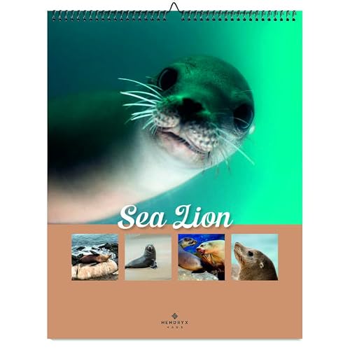January 2027 - December 2027 Sea Lion Wall Calendar 8.5x11 Monthly Wildlife Photography 12 Month Animal Calendar Stunning Nature Images Gift for Animal Lovers, Kids Adults