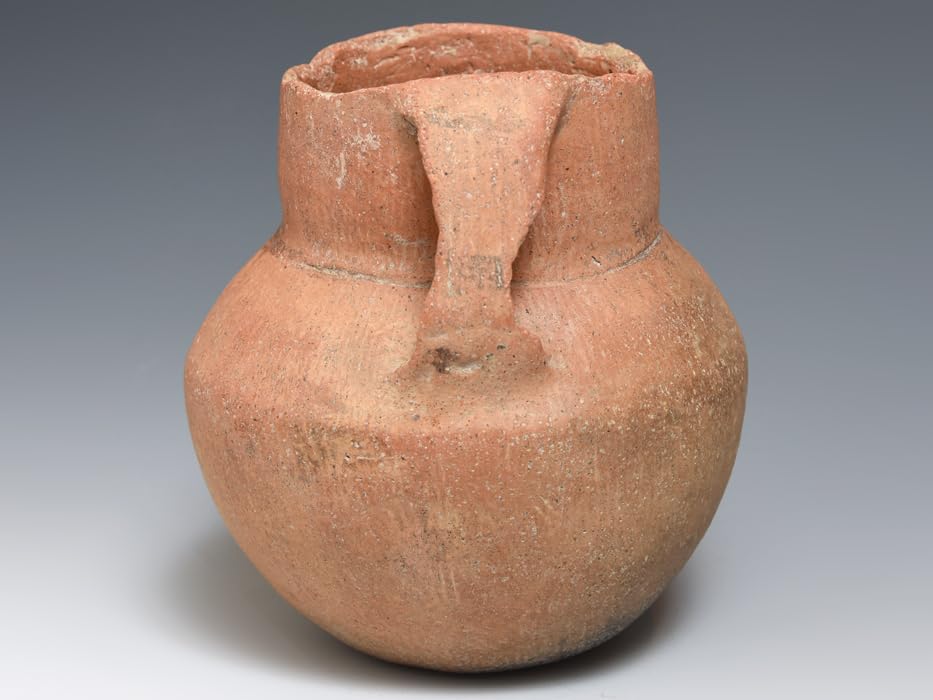 中国　飴釉　釉垂　双耳壷　中国河北省出土品　時代箱付　D　R7474 中国飴釉釉垂双耳壷中国河北省出土品時代箱付DR7474