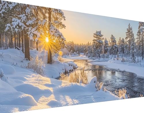 Peinture diamant 5D paysage de neige et broderie diamant grand format