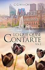 Lo que quise contarte (Lo que quise y debí contarte nº 1)