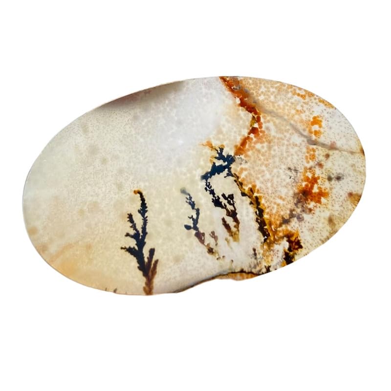 Pierre précieuse agate dendritique cabochon ovale de qualité supérieure pour joaillerie DIY