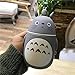 JNML Tasse d'eau isolée 248 ML Mignon Totoro Portable Thermos Bouteille Creative Anime   Tasse et Tasse flacons à Vide en Verre Bouteille, Gris daimeng