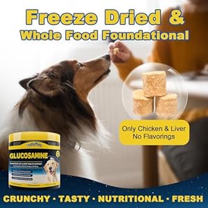   Glucosamine-for-Dogs-Freeze-Dried-Joint-Supplement-for-Dogs-with-Chondroitin-MSM-Omega-3-Enhanced-with-Hemp-Oil-for-Dogs-Joint-Pain-Relief-Support-Mobility-Discomfort-Small-Large-Dogs-120-Ct