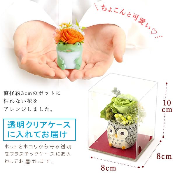 Amazon.co.jp: おいもや 誕生日 プレゼント ギフト ソーラーフラワー