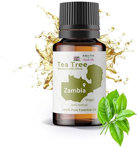 Miniatura 1 de Nature Packaged Aceite de árbol de té, directo de Arulussa Farms en Zambia, 100% puro, grado terapéutico, aceites esenciales a granel (0.5 fl oz)
