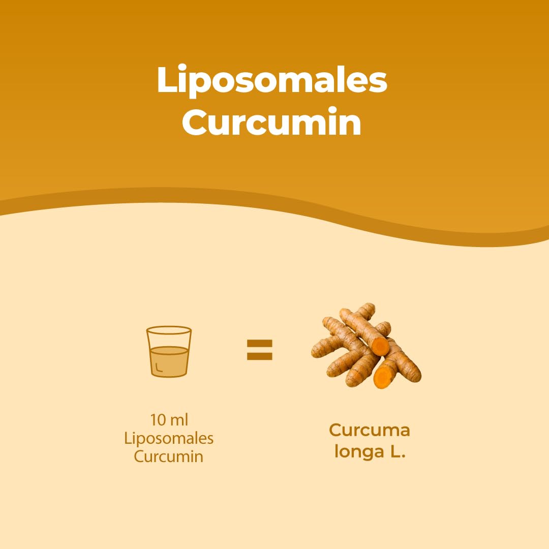 Bandini® Liposomales Curcumin Cureit® 250ml flüssig | Hochdosiert mit 200 mg Kurkumin pro Tagesdosis | Curcuma Extrakt mit Sonnenblumenlecithin | hohe Bioverfügbarkeit | 25 Portionen | Vegan, GMO-frei