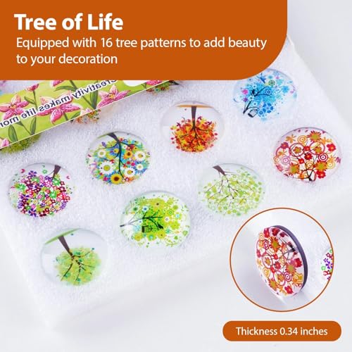 Imanes decorativos para frigorífico 16 piezas miniatura 4