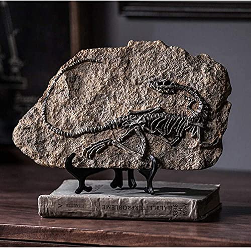 Dinosaurier Anhängerkupplungsabdeckung - Lustige Abdeckung Für LKW