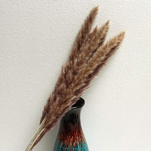 Taloit 15 stks Natuurlijke Gedroogde Pampas Gras Bloem Bos Boeket Gedroogde Bloem Thuis Bruiloft Bloemen Decor 60-80cm - Afbeelding 6