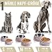 ne&no® Futternapf 2er Set für Hunde und Katzen (L - PERSONALISIERT, Malve)
