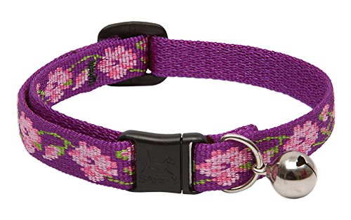 LupinePet-Originals-12-Rose-Garden-Cat-Safety-Collar-with-Bell-8-12