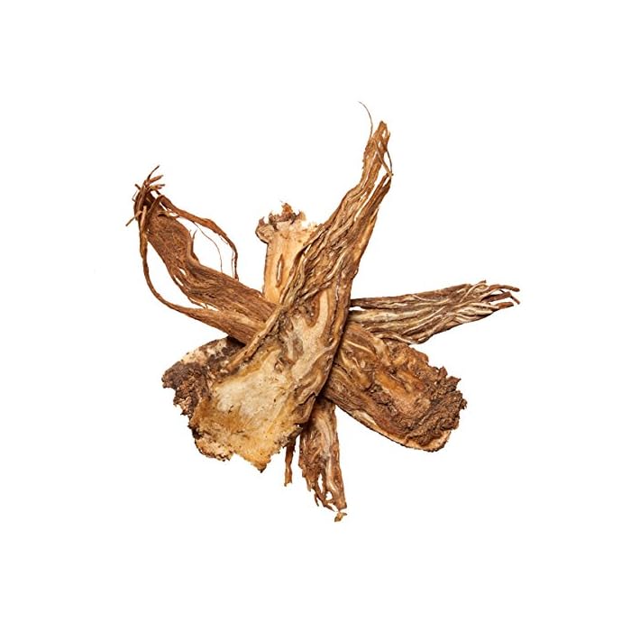 Buy Angelica Root Dang GUI, Whole Root Chinese Herb Suitable to