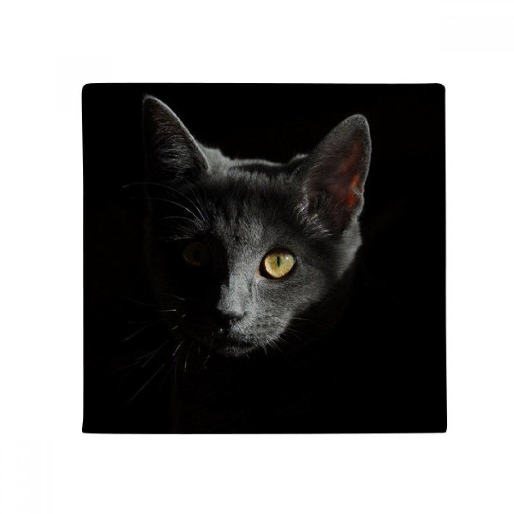 Tapis chat noir sauvage 50x50cm une idée cadeau originale pour le salon