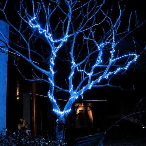Image of COXO 1 Meters LED Rope Light for Decoration - Waterproof Blue SMD Cove Light for Ceiling, Home Decor, LED Pipe Light for Diwali, Festival, Indoor, Outdoor Use (Blue, 1 Meter)