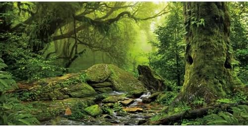 AWERT 48x24 inches Tropical Forest Terrarium Background Stream Green Huge Tree Reptile Habitat Background Foggy Rainforest Aquarium Background Durable Polyester Background