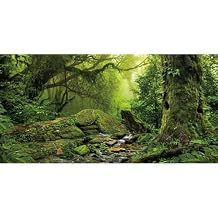 AWERT Tropical Forest Terrarium Background Stream Green Huge Tree Reptile Habitat Background Foggy Rainforest Aquarium Background 24x12 inches Polyester Background