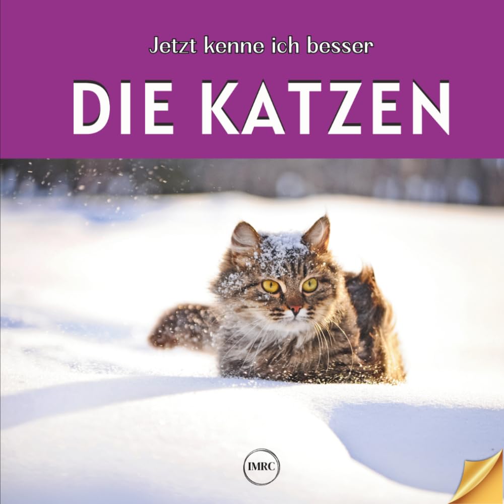 Jetzt kenne ich besser: die Katzen: Illustriertes Buch über Katzen für Kinder ab 6 Jahren