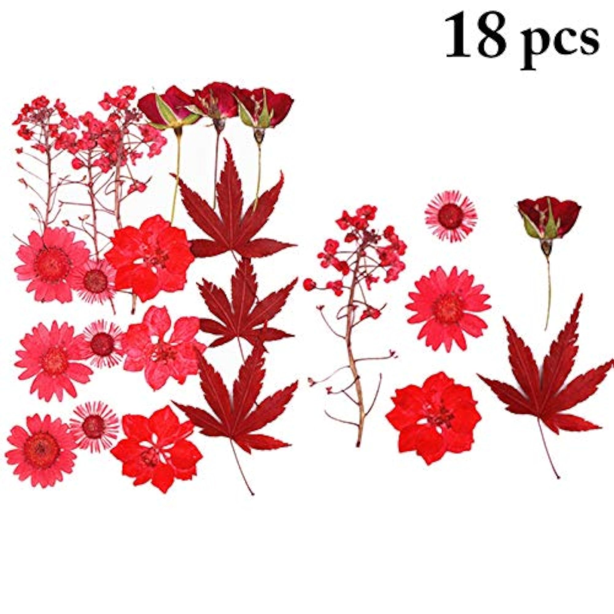 18PCS Creative Natural Dried Craft Flowers Set
