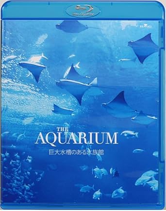 Amazon Co Jp The Aquarium 巨大水槽のある水族館 Blu Ray Dvd ブルーレイ 環境映像