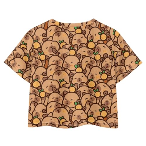 Image of Girls Crop Tees Crew Neck Casual Short Sleeve T Shirts Kids Loose Soft Comfortable Tees Blouses Shirt for Little Girl