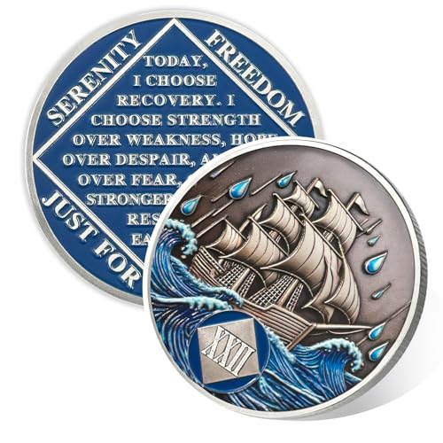 Image of Braving The Storm 22 Year Sober Coin, Nautical NA Coin, Addiction Recovery Twenty-Two Year Sober Chip, Celebrating Recovery Anniversary Token, Narcotics Anonymous Sobriety Gifts for Men Women