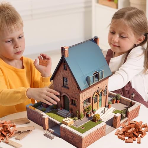 SNONESIY 60 Stück Rote Mini Ziegelsteine für DIY Bauen, Puppenhaus, Garten Ornament, Spielzeug Deko (10 Jahre - 14 Jahre)