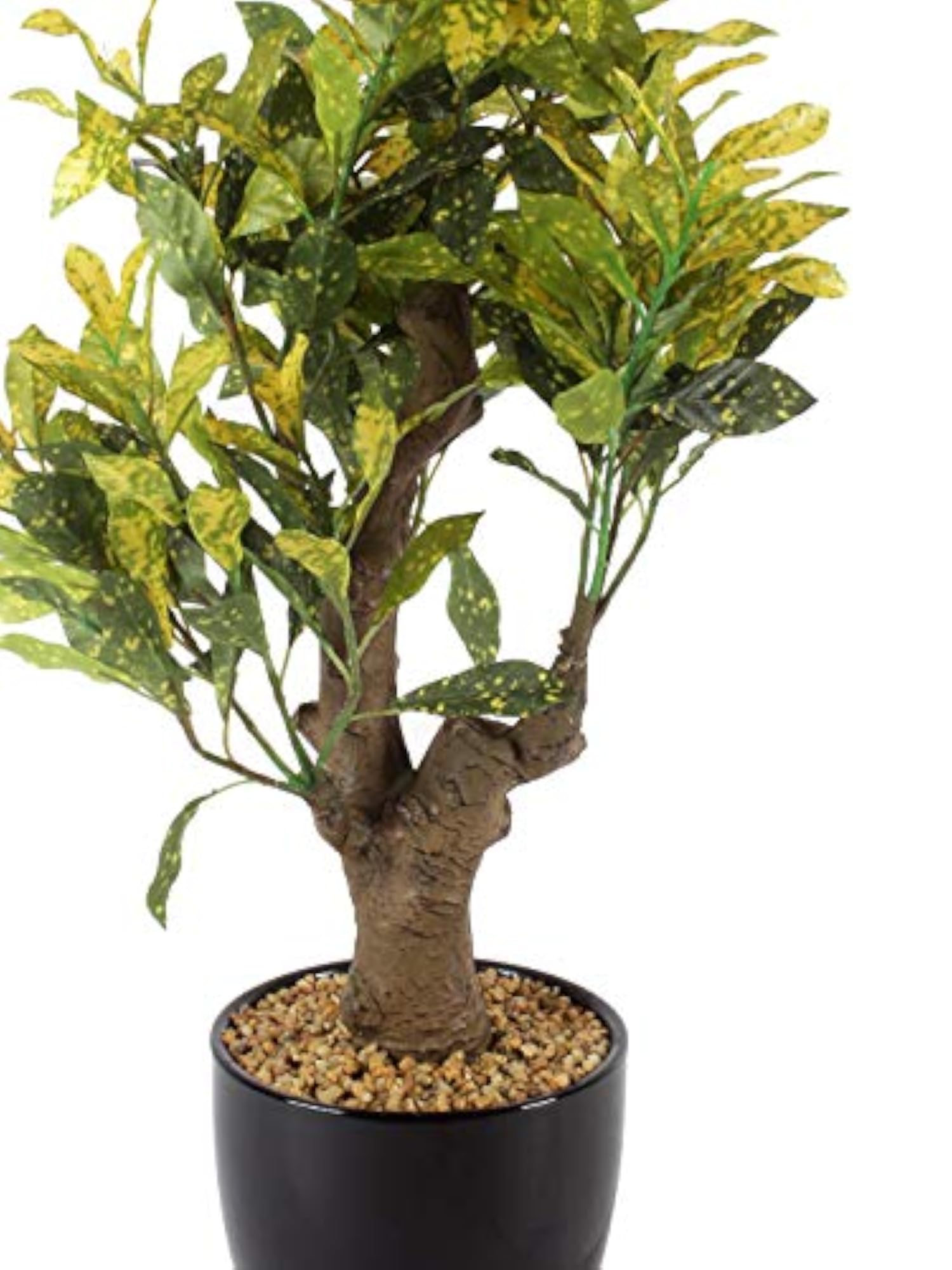 Premium Range Artificial Croton Plant with Stylish Ceramic Vase