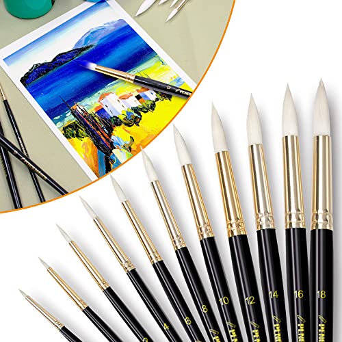 PENCILMARCH 11 Pinceaux Peinture Acrylique Ronds, Ensemble De Pinceaux pour Acrylique, Huile, Visage, Aquarelle, Toile De Peinture, CéRamique, Argile, Bois, Pinceau Aquarelle, Pinceau Peinture Cover