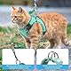 Brifit Verstellbares Katzengeschirr Ausbruchsicher mit Leine Ausbruchsicher, Softgeschirr für Katze Brustgeschirr mit Reflektierenden Streifen, Katzenleine mit Geschirr [XXS]Anwendbares Gewicht: 2-3kg