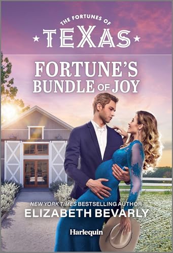 Fortune's Bundle of Joy: A Secret Baby Contemporary Romance
