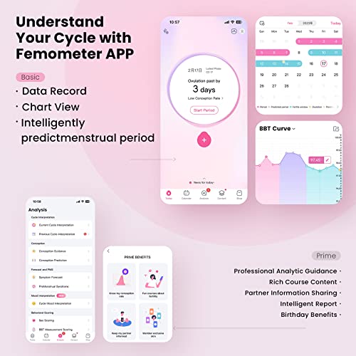 Zykluscomputer Femometer Vinca II digitales Basalthermometer