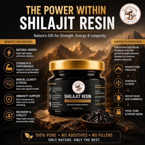 Image of Shilajit Resin | Purified Himalayan Shilajit Resin |20g (pack of 1) for Energy & Immunity