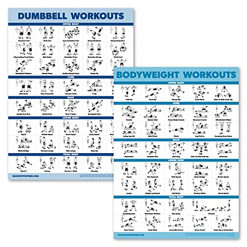 Palace Learning 2-Pack Dumbbell & Bodyweight Workout Posters
