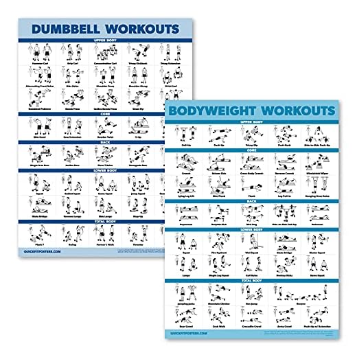 Palace Learning 2 Pack Dumbbell Workouts and Bodyweight Exercise Poster Set - Laminated 2 Chart Set - Dumbbell Exercise Routine & Body Weight Workouts [LIGHT] (LAMINATED, 18” x 24”)