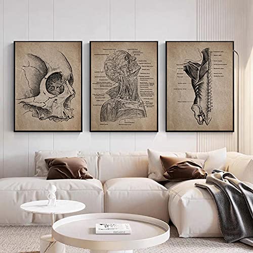 Perfetta decorazione murale per soggiorno, camera da letto, cucina, ufficio, hotel, ristorante, ufficio, bagno, bar, ecc.