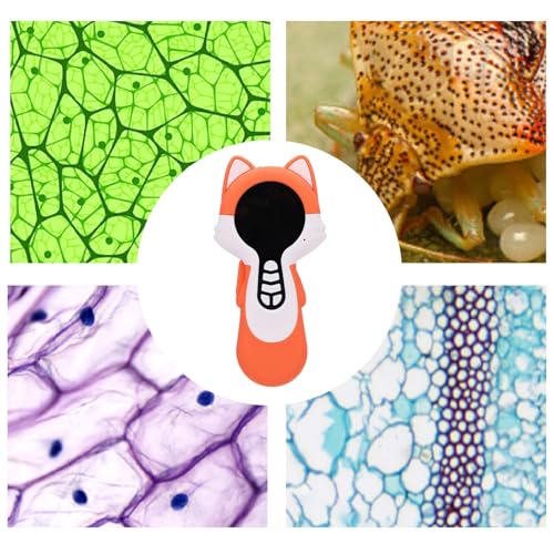 Microscopio portátil infantil Cocoarm para aprender ciencia en casa 3