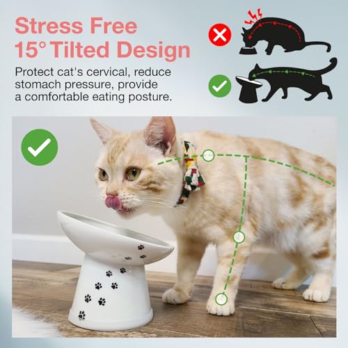 image for Necoichi Extra Wide Raised Cat Food Bowl, Elevated, Prevent Neck & Whi
