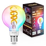 DiCUNO foco Edison inteligente G80, foco inteligente WiFi que cambia de color, foco de filamento Vinatge Globe compatible con Alexa y Google, regulable con aplicación, equivalente a 50 W, 450 lm, no