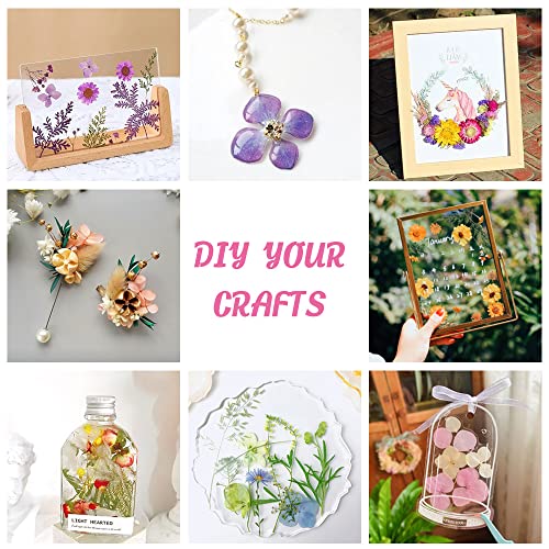 Blaflo 35+Pcs Purple Flowers For Resin Model, Real Pressed Flowers Dry Leaves Bulk Natural Herbs Kit For Scrapbooking Diy Art Crafts, Epoxy Jewelry, Candle, Soap Making, Nails Decor #TOP5