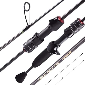 Delicacy 1.8 m 0.6-8 g UL Fishing Rod Baitcast Spinning Rod Ultralight Carbon Fibre Hollow + Solid 2 Tips