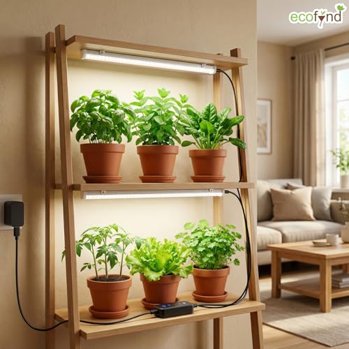 Image of ecofynd Aira2 2 Years Warranty Grow Light for Indoor Plants (Seedlings & Leafy herbs), White Spectrum Auto On /Off Automatic Timer, 2 Head 10 Watt LED Artificial Sunlight, 1.8M Wire Type C Connector