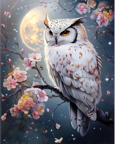 Cross stitch with beads kit broderie perlée 9CT chouette 40x50cm