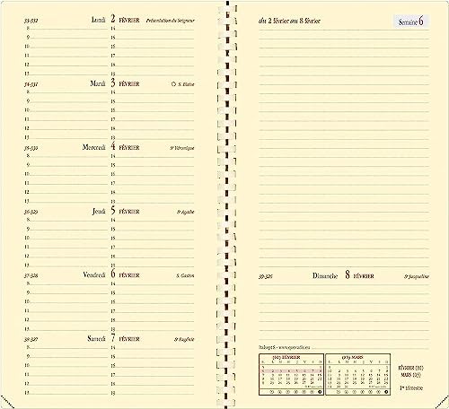 Set Intaglio Legno 10 Pezzi - Coltelli Professionali Con Pietra Affilatura - Per Principianti Ed Esperti - Foto 2