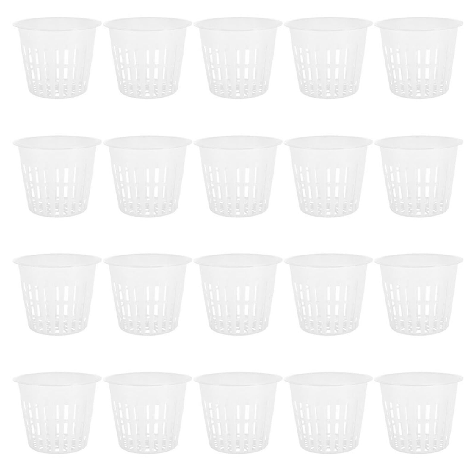 Panier hydroponique pour culture sans sol et enracinement réussi des semis