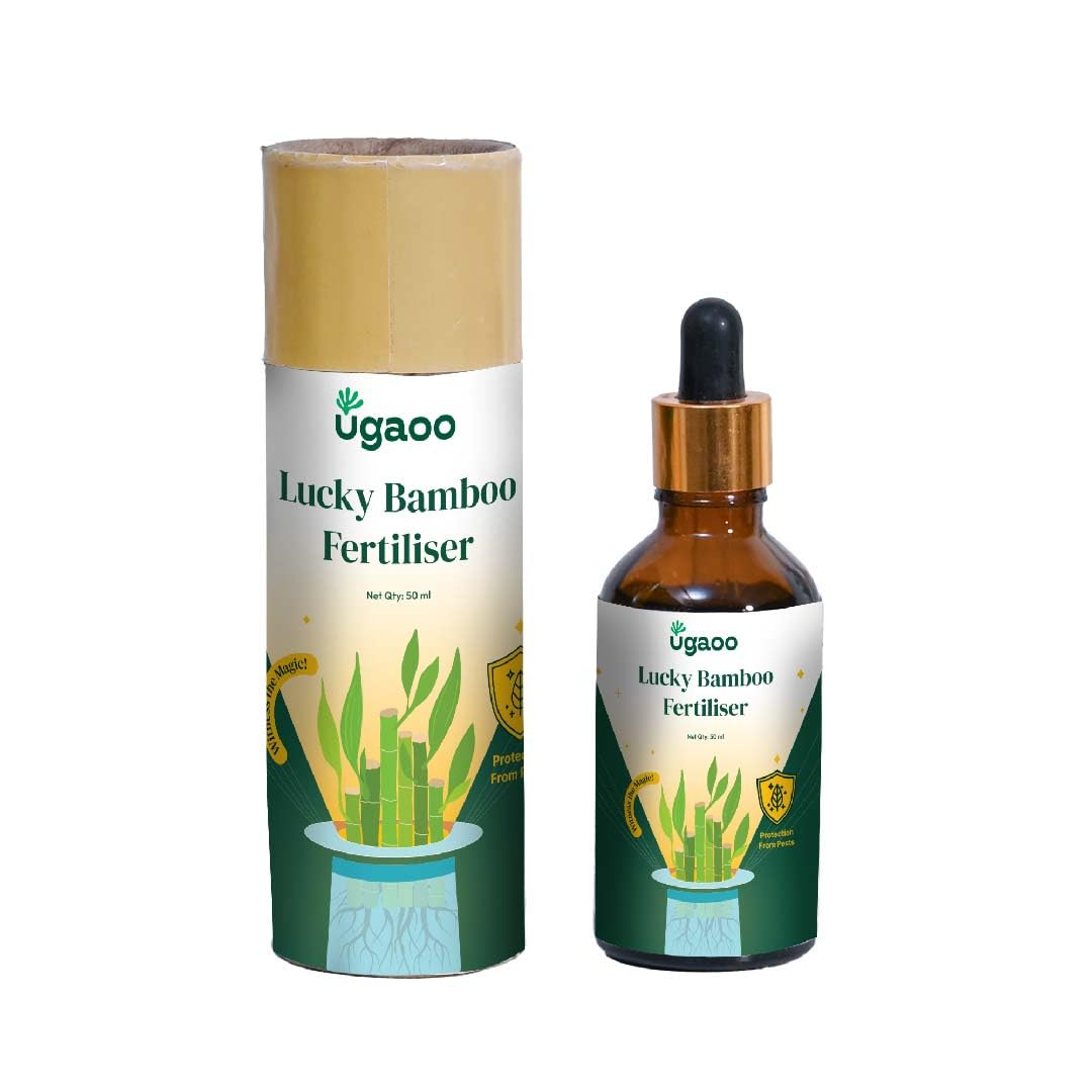Lucky Bamboo Plant Liquid Fertilizer - Growth Booster (50 ml)