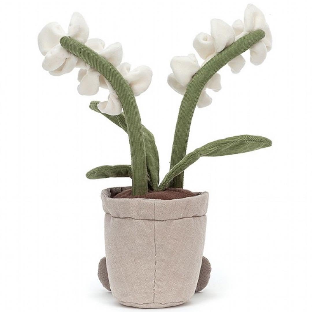 新品　ジェリーキャット　花　蘭　胡蝶蘭　ラン　観葉植物　ぬいぐるみ Amazon.co.jp: ジェリーキャット 蘭 白蘭 ぬいぐるみ 花 ラン 胡蝶蘭